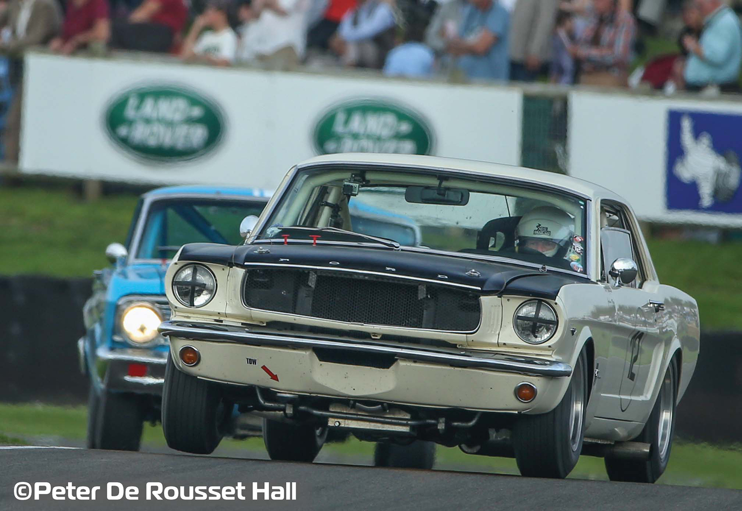 Ford Mustang - Bill and Fred Shepherd - Goodwood Revival